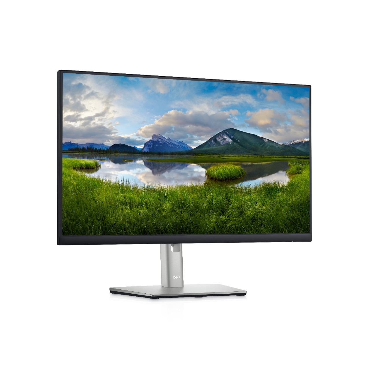 Dell 24 Monitor - P2422H 23.8"IPS LED, AG, 1920x1080, 1000:1, 250 cd/m2, HA 150mm, tilt, swivel, piv