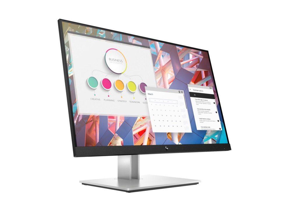 HP E24 G4 FHD Monitor 
