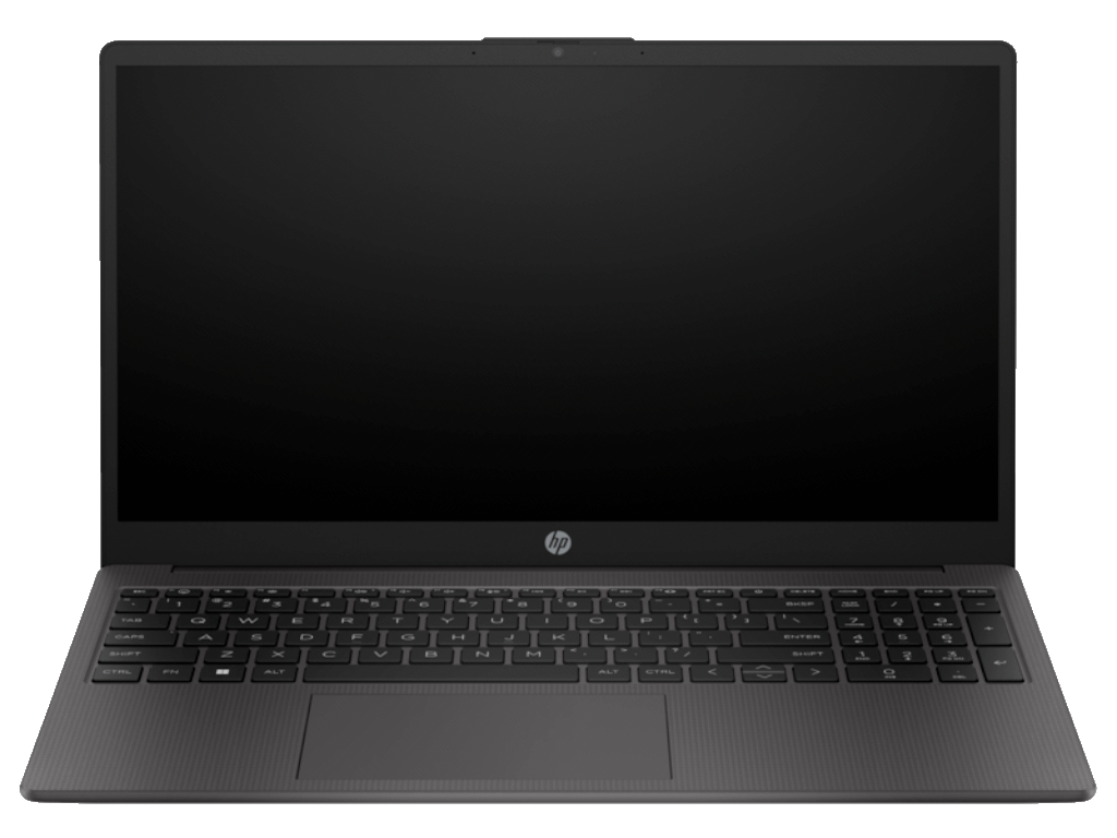 HP PSG Laptop HP 250 G10 DOS/15.6"FHD AG/N100/8GB/256GB